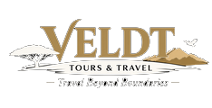 velt logo22