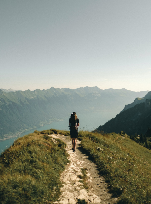 joel-jasmin-forestbird-znoL1m6MD_k-unsplash